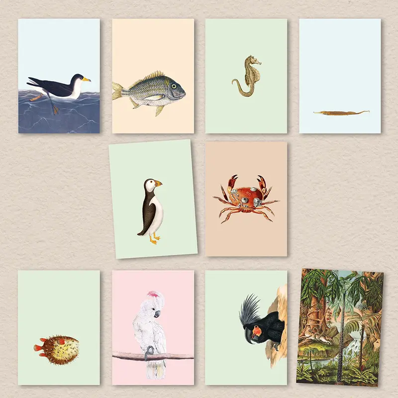 30x40 Postkarten 10er Set "Tiermotive"