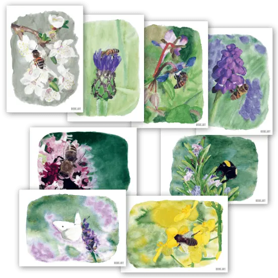 8er-Set Öko-Postkarten – Aquarell-Insektenmotive | Recyclingpapier | DIN A6