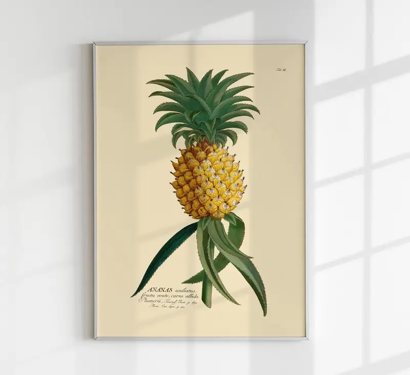 Ananas – Botanisches Poster | Feine Pflanzenillustration | UV-beständig
