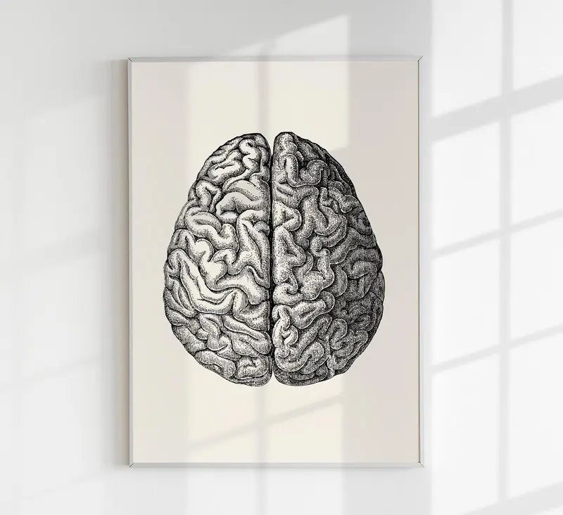 Anatomical Brain – Wissenschaftliches Poster | Gehirnanatomie | UV-beständig