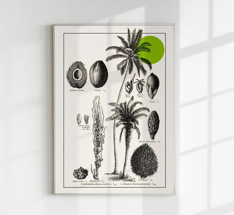 Antique Coconut Plant Poster – Fine Art Print | Vintage Botanical | UV-resistent