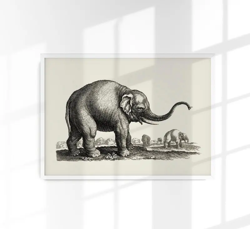 Antique Elephant Poster – Fine Art Print Vintage Wildlife UV-resistent