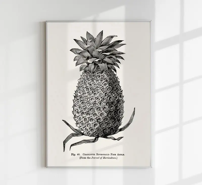 Antique Pineapple Poster – Fine Art Print Ananas Botanik UV-resistent