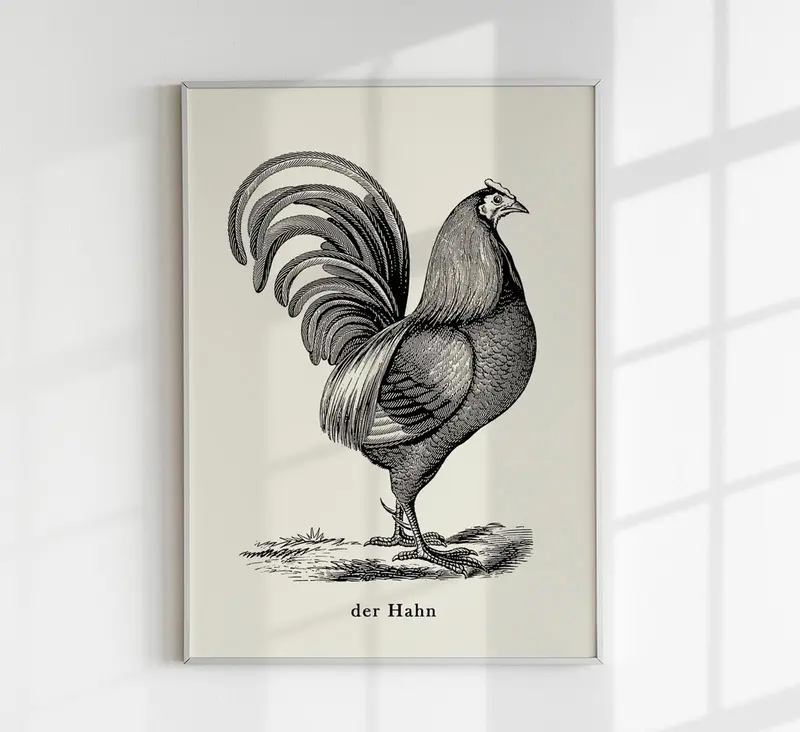 Antique Red Rooster Poster – Vintage Illustration Fine Art Print