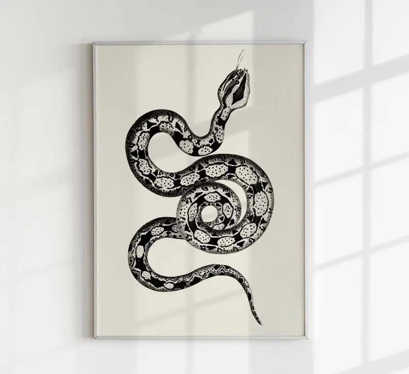 Antique Snake Poster – Vintage Illustration Fine Art Print | Patroa Studio