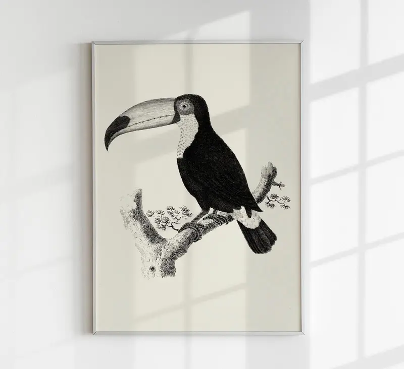 Antique Toucan Poster – Archivpapier, UV-resistent
