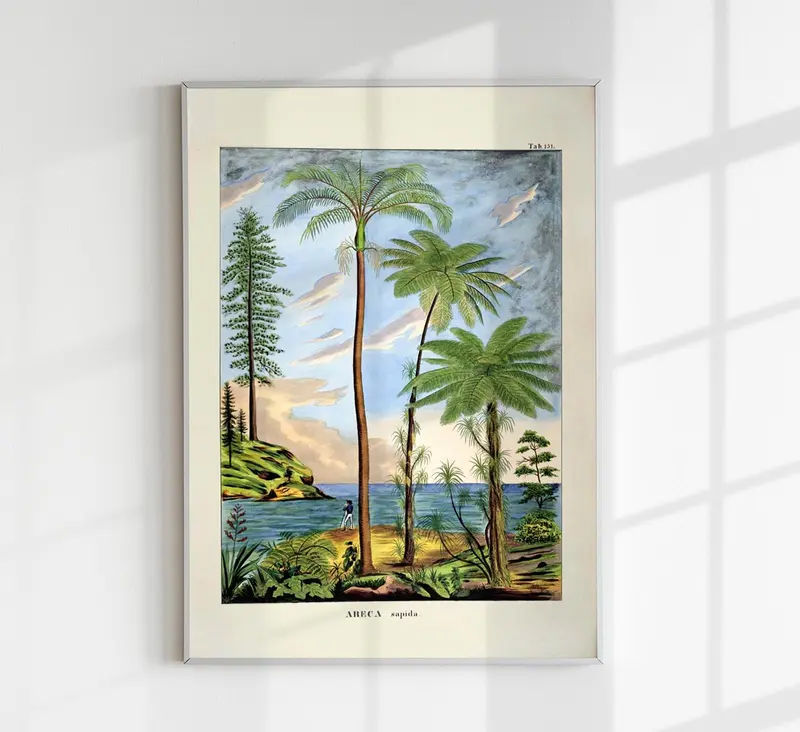 Areca Sapida Beach Scene Vintage Poster – Fine Art Print UV-resistent