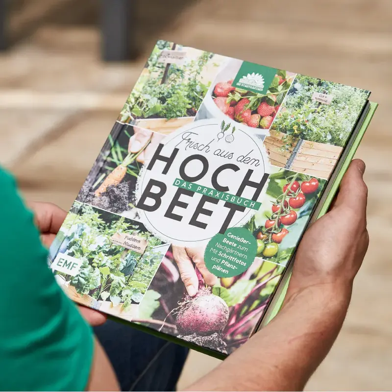 Buch „Frisch aus dem Hochbeet“ – Gärtnern für Einsteiger mit 5 Musterbeeten