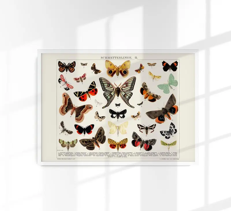 Butterfly II Poster – Lithographie-Kunstdruck