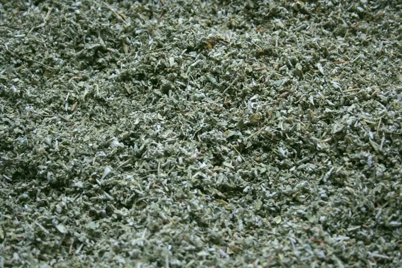 Damiana (Turnera diffusa) 100 g