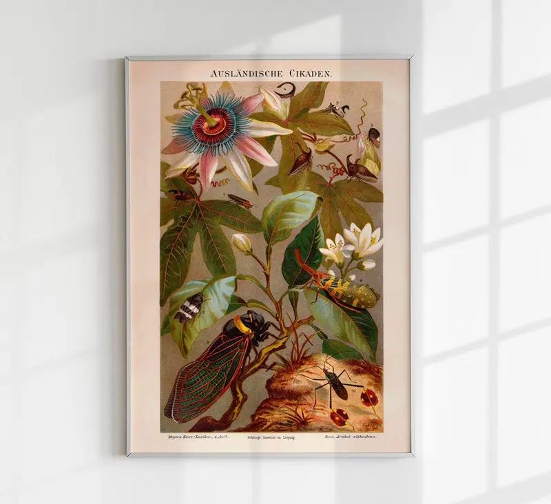 Exotic Grig Poster – Chromolithographie Vintage Naturkunde