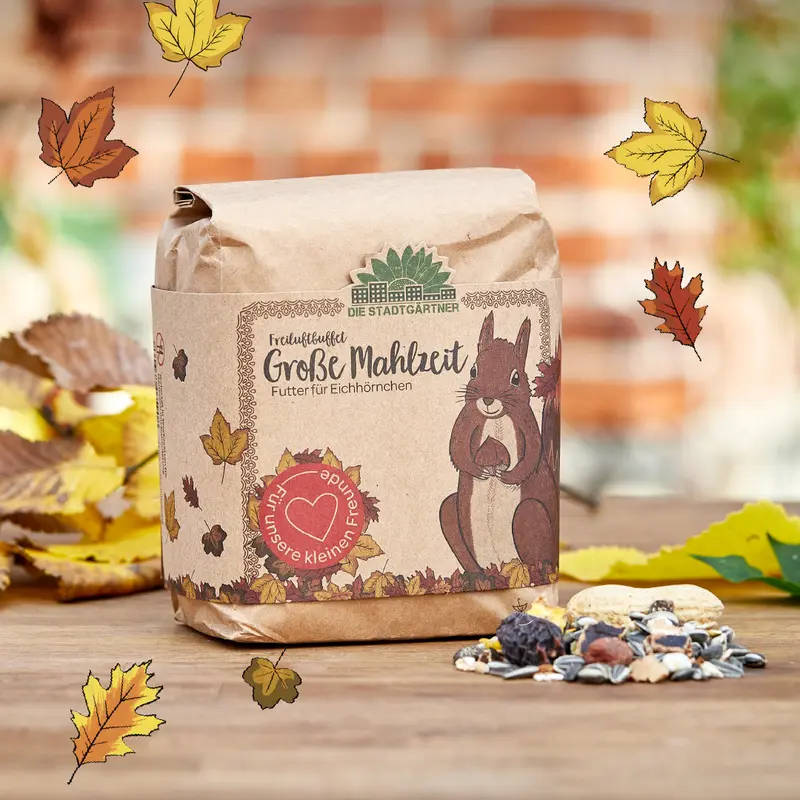 Große Mahlzeit – 1 L Eichhörnchenfutter mit Nüssen & Früchten
