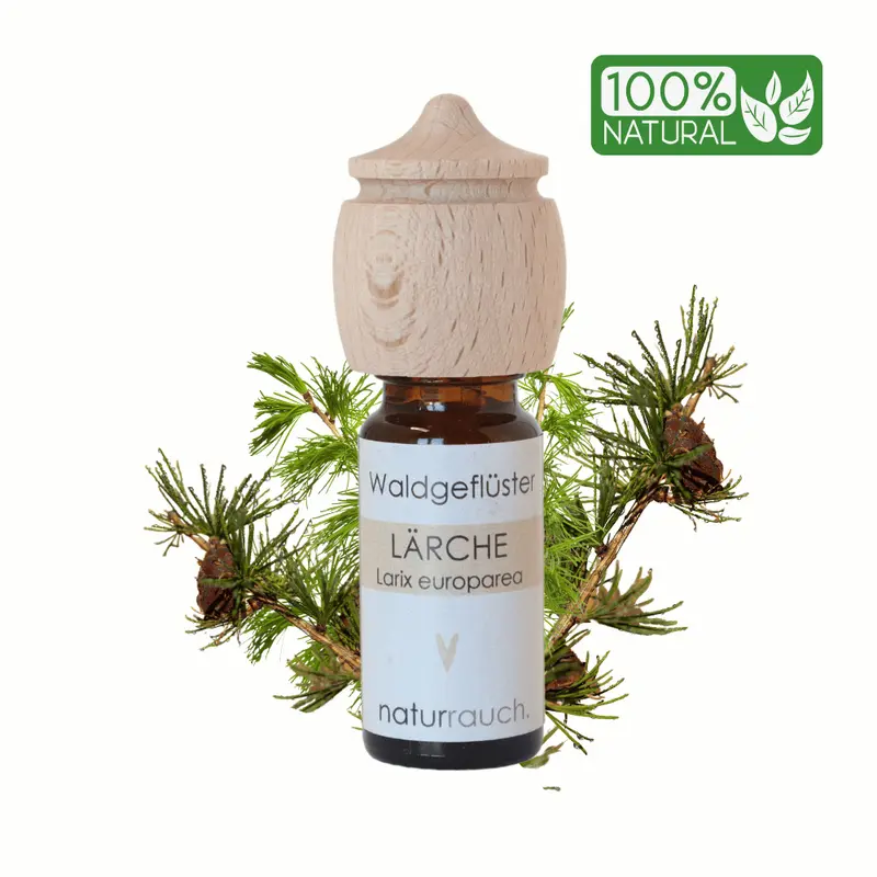 Heimische Lärche I Ätherisches Öl