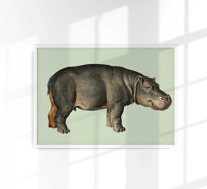 Hippopotamus Animal Illustration Poster – Handgedruckt Berlin