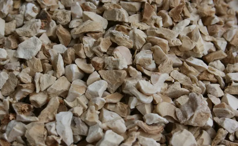 Iriswurzel Veilchenwurzel (Iris tingitana) 100 g