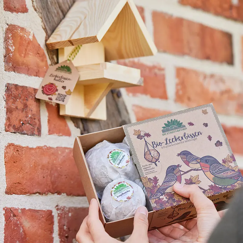Leckerbissenhalter mit 4 Bio-Futterknödeln – Vogelfutter aus EU-Bio