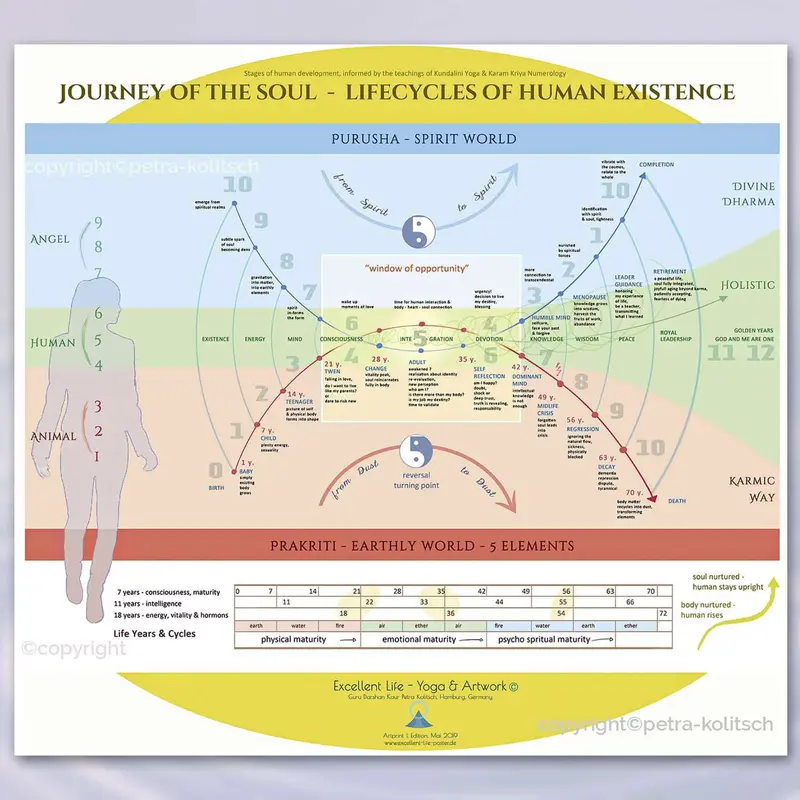 Lifecycles of Human Existence