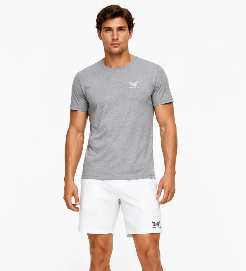 PAPILLON T-SHIRT HERREN, GRAU-MELANGE