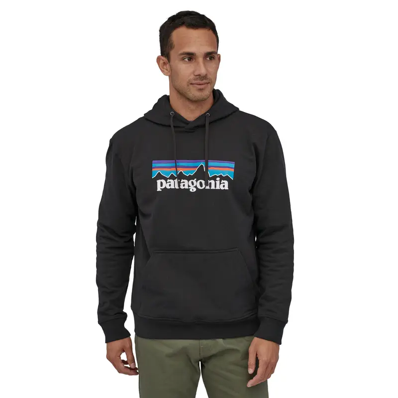 Patagonia Herren Kapuzenpullover "Logo"