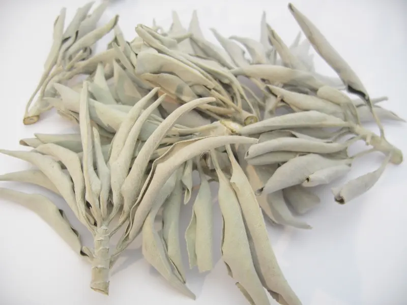 Premium Weißer Salbei (Salvia apiana) 100 g