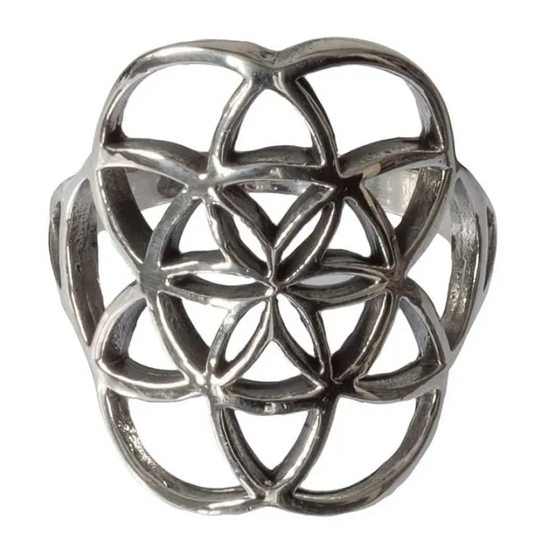 Ring 'Saat des Lebens' silber