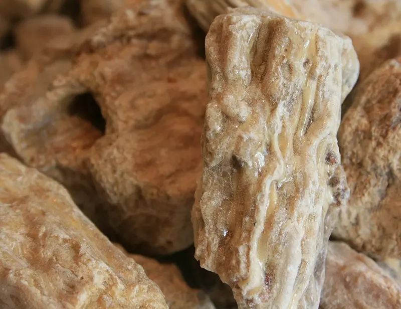 Sal Harz (Shorea robusta) 100 g