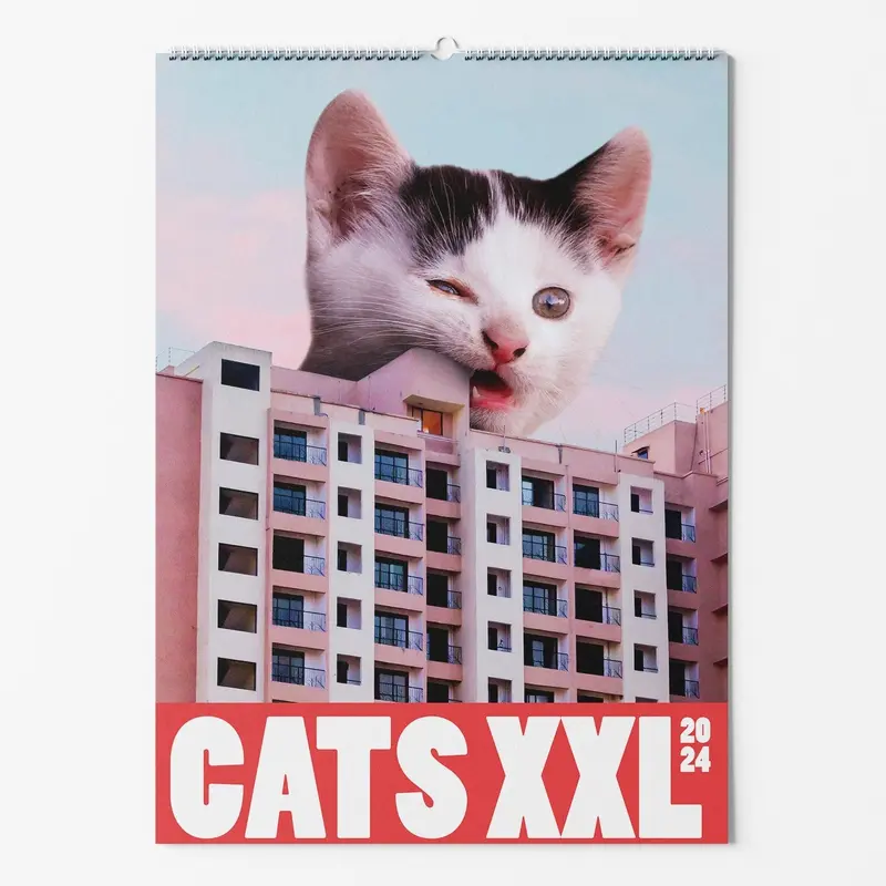 Selekkt "CATS XXL" Fotokalender 2024