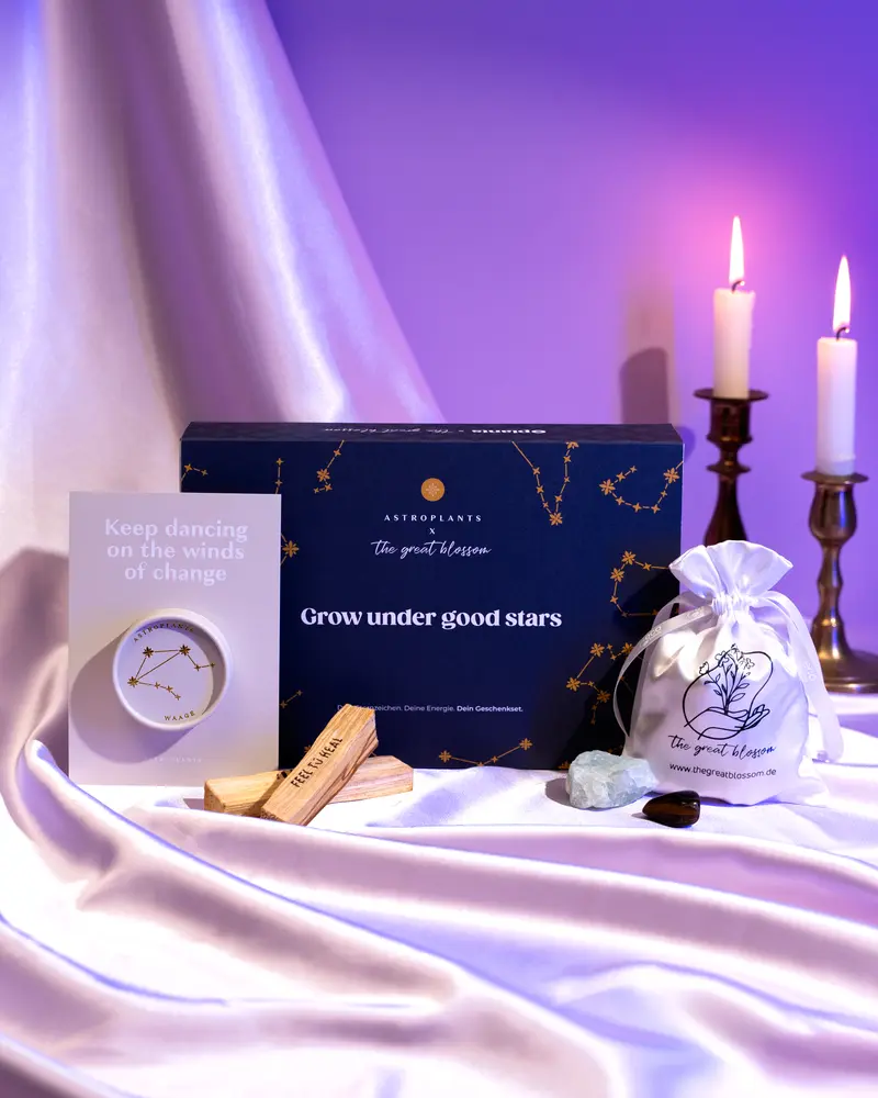 Sternzeichen Geschenkset x Astroplants – Geschenkbox Räuchern