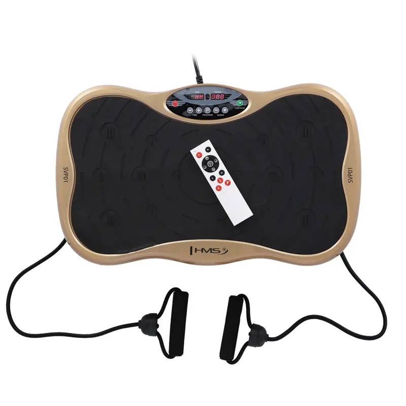 SVP01 GOLD VIBRATIONSPLATTE HMS