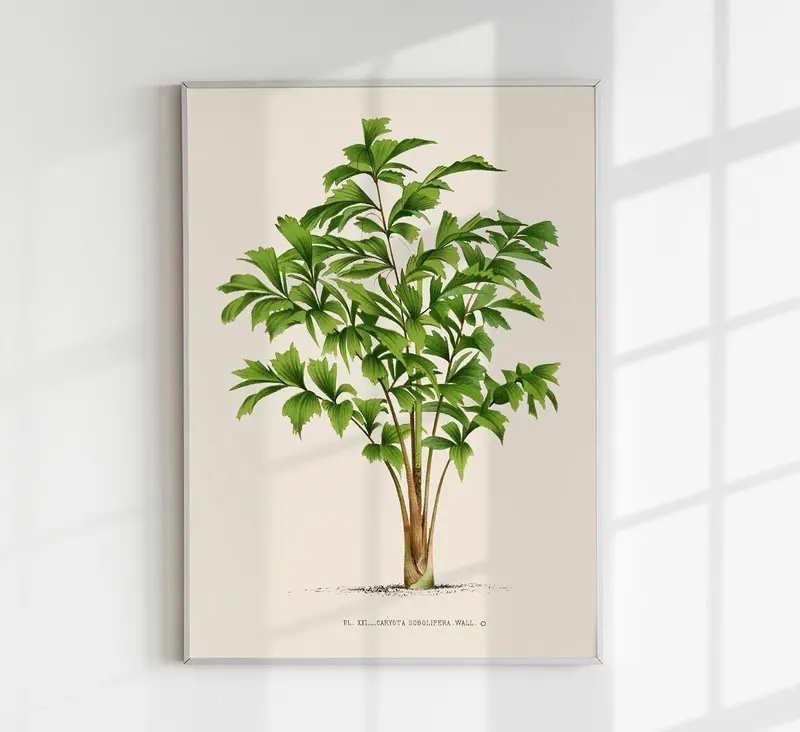 Vintage Tree Caryota Sobolifera Poster – Fine Art Print UV-beständig