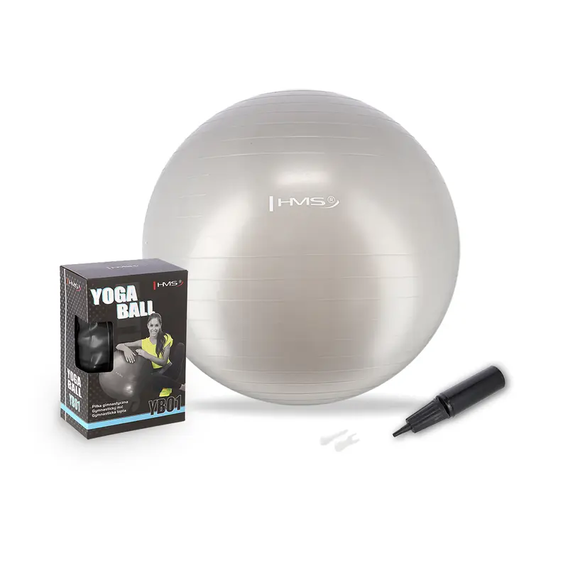 YB01N 65CM GRAY GYMNASTIKBALL HMS