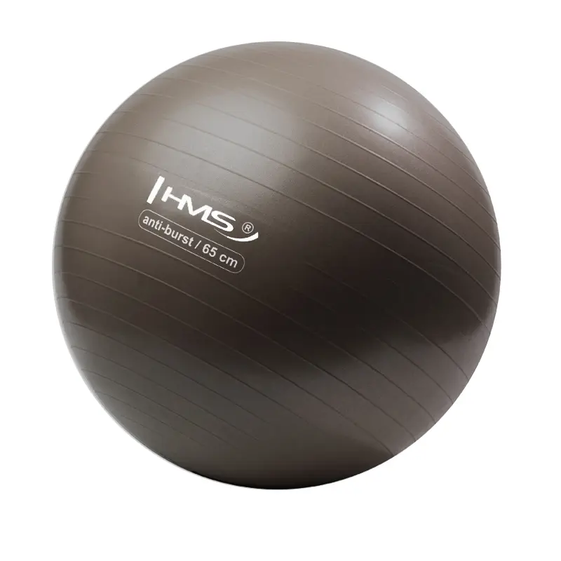 YB02N 65CM GRIZZLY BRAUN ANTI-BURST GYMNASTIKBALL HMS