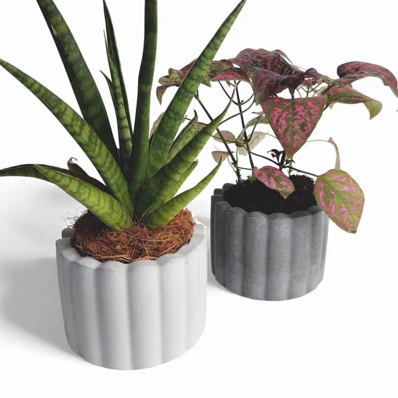 Zarka Blumentopf aus Beton Ø 10 cm mit Filzfüßen